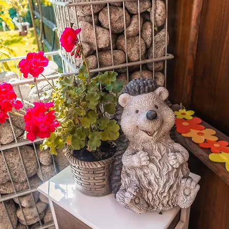 Nikola Apartmán Ždiar