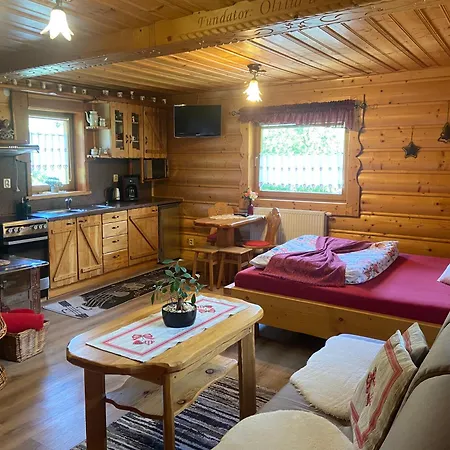 Nikola Apartament *